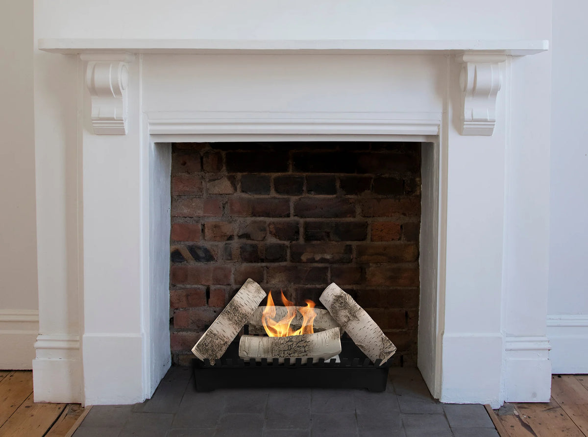 Bioethanol Fireplace freestanding insert Feniks black matte